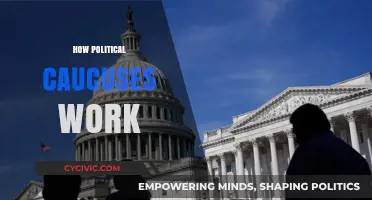 Understanding Political Caucuses: A Comprehensive Guide to Their Functionality