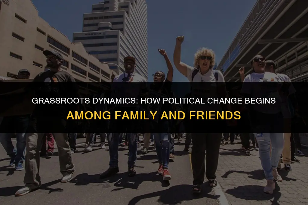 how political change happens among family and friends