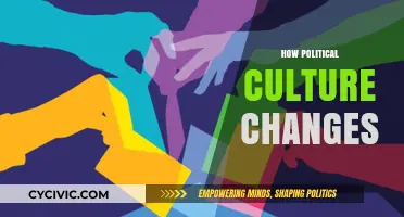 Evolving Political Landscapes: A Deep Dive into Cultural Shifts