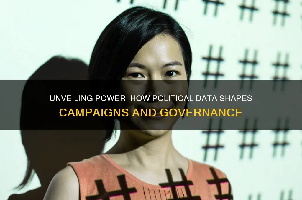 how political data is used