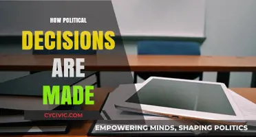 Unveiling the Complex Process Behind Political Decision-Making