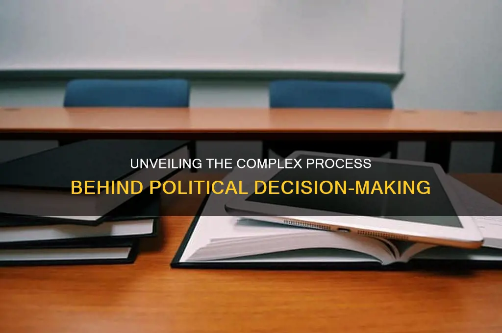 how political decisions are made