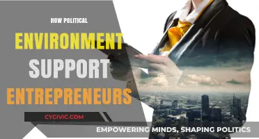 Political Climate: Fostering Entrepreneurial Growth and Innovation Nationwide