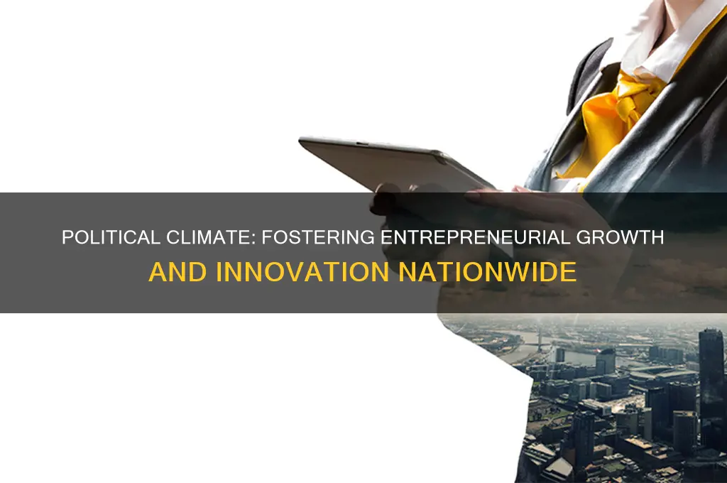 how political environment support entrepreneurship
