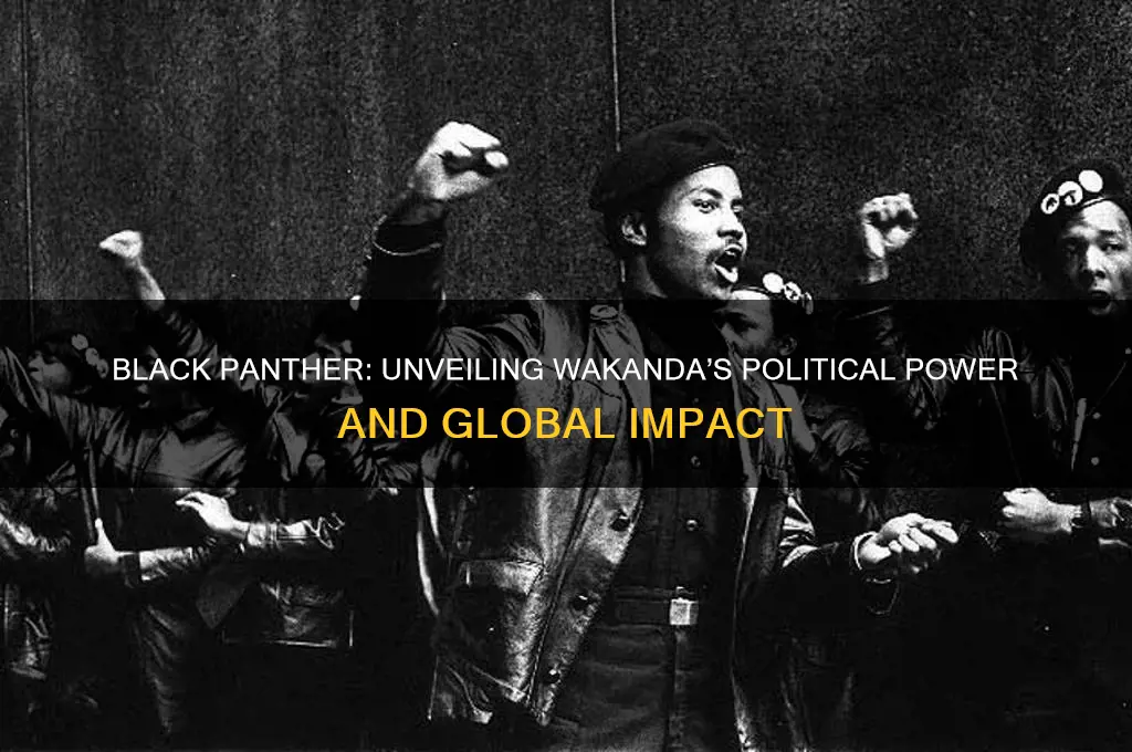 how political is black panther