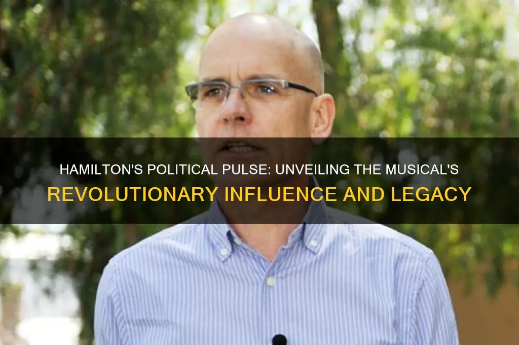how political is hamilton