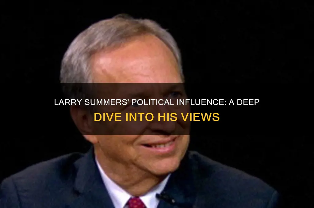 how political is larry summers