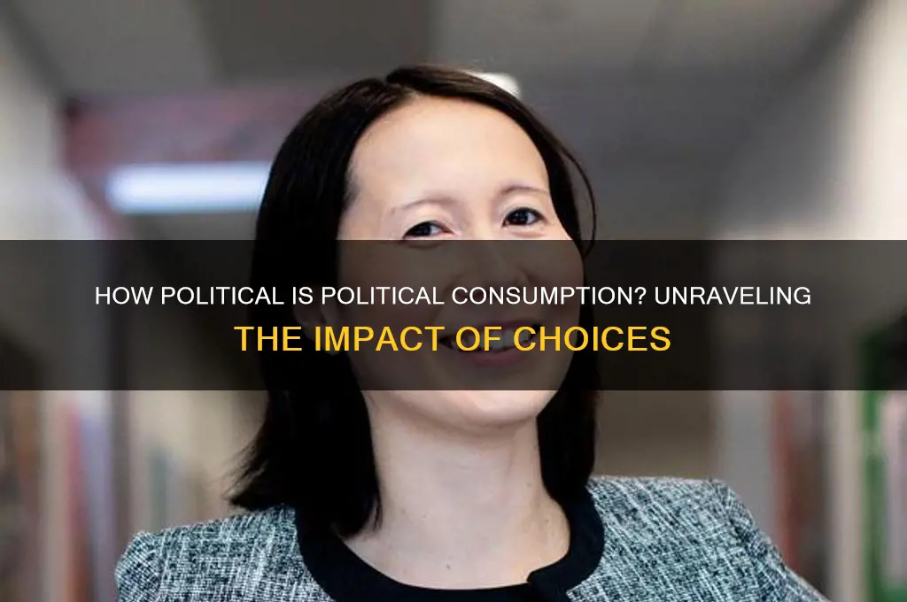 how political is political consumption