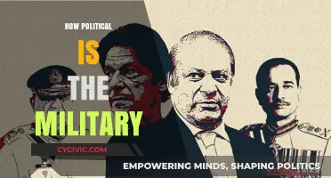The Military's Political Role: Power, Influence, and National Security
