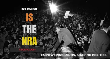 The NRA's Political Power: Lobbying, Influence, and Gun Rights in America