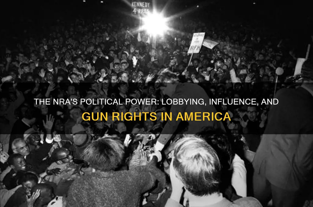 how political is the nra