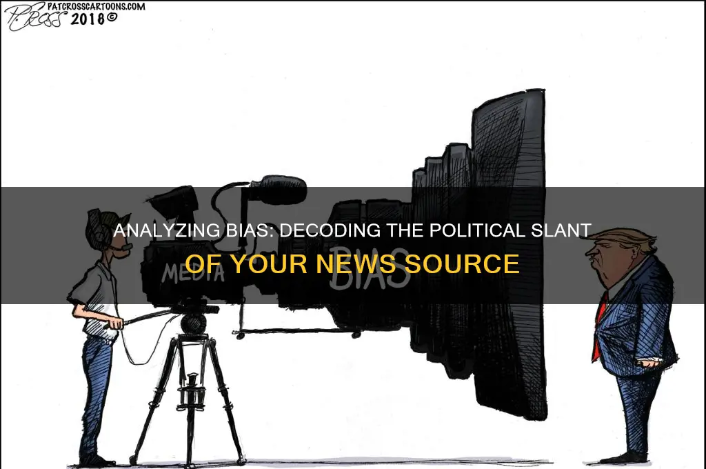 how political is this source