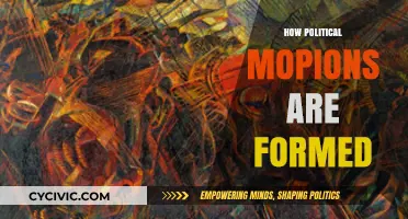 Understanding the Complex Process of Political Opinion Formation