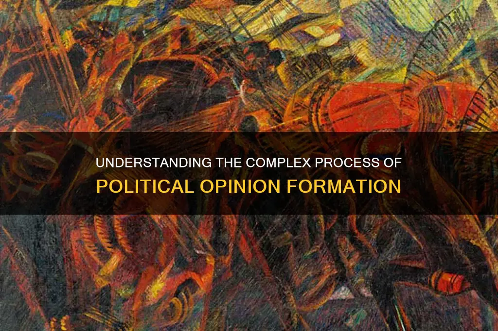 how political mopions are formed