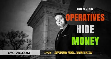 Unveiling Dark Money: Tactics Political Operatives Use to Conceal Funds