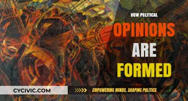 Understanding the Complex Process of Shaping Political Opinions and Beliefs