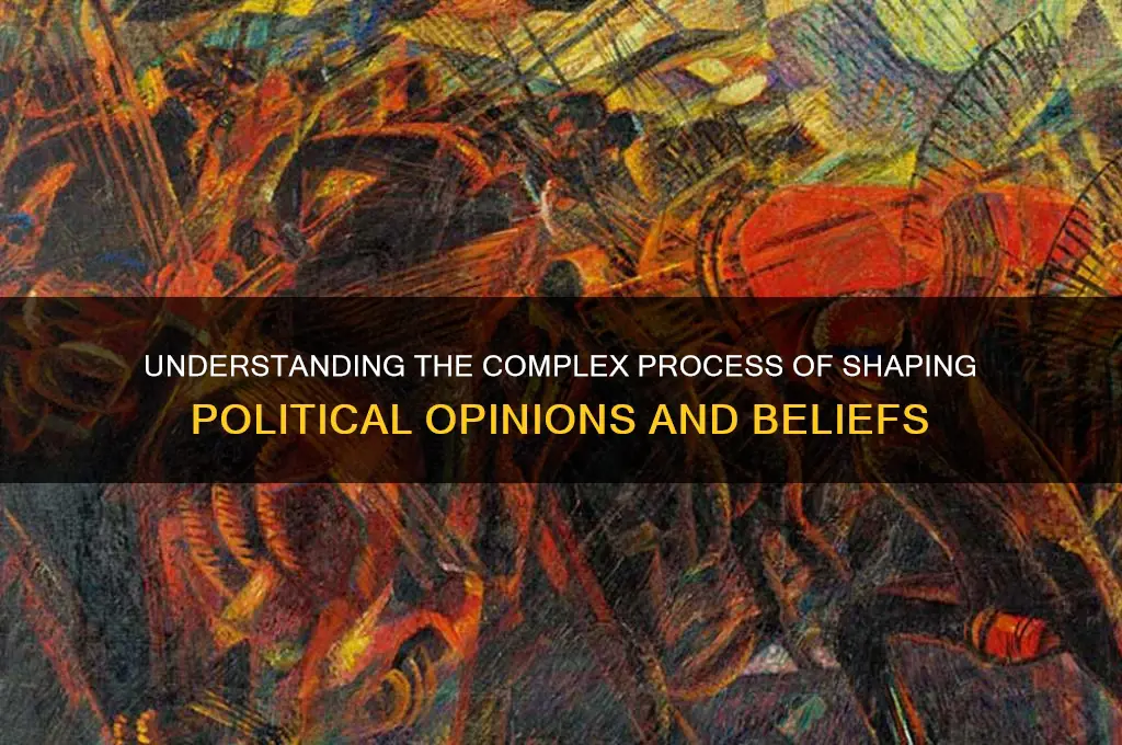 how political opinions are formed