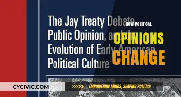 Shifting Landscapes: The Dynamics of Political Opinion Change