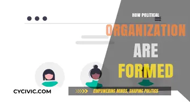 The Evolution and Structure of Political Organizations: A Comprehensive Guide
