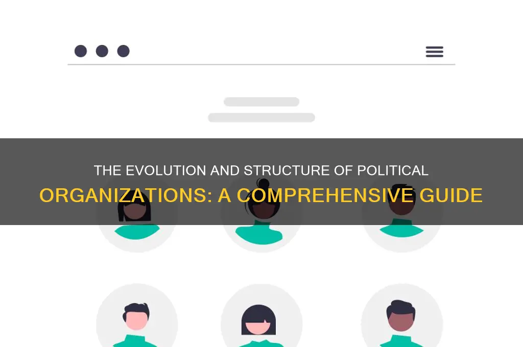 how political organization are formed