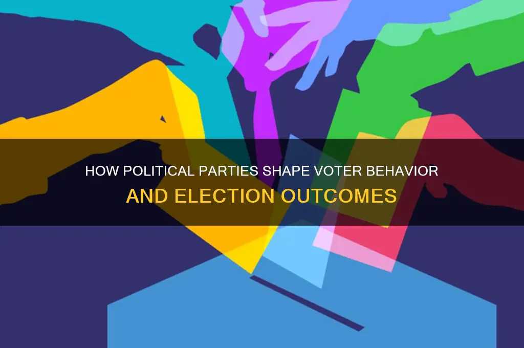 how political parties affect voters