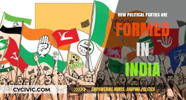 Understanding the Formation of Political Parties in India's Democracy