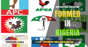 Understanding the Formation of Political Parties in Nigeria's Democracy