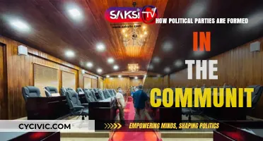 Community Roots to Political Power: The Formation of Local Parties