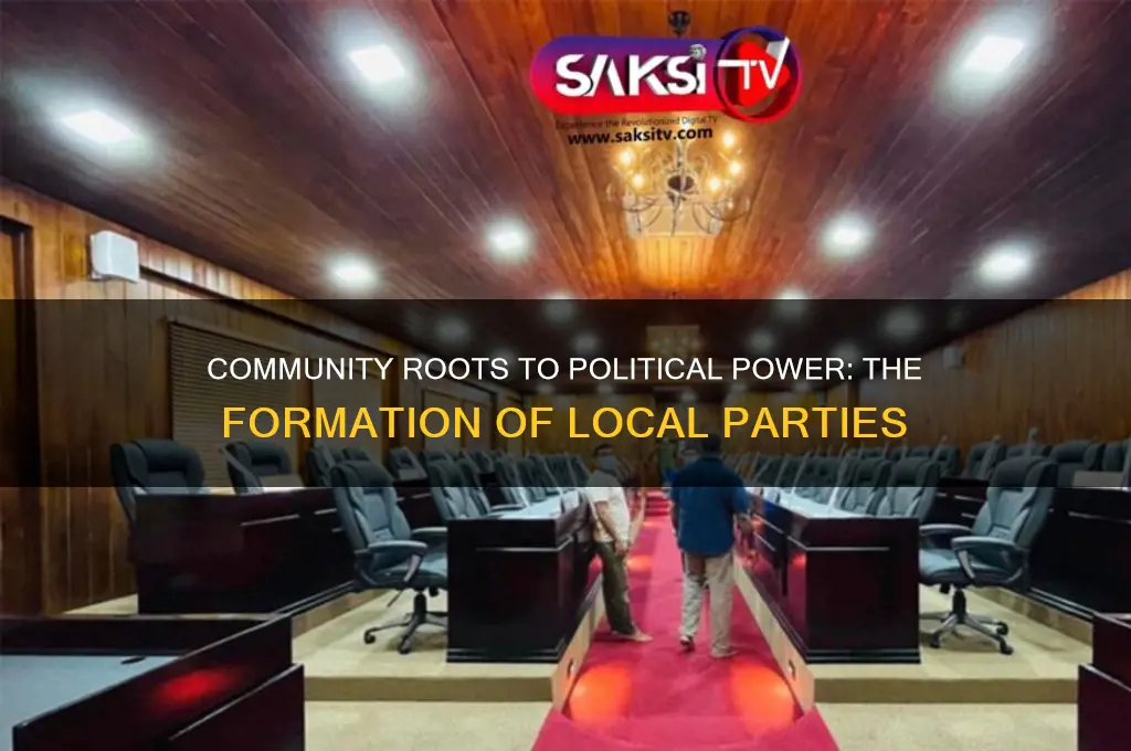 how political parties are formed in the community