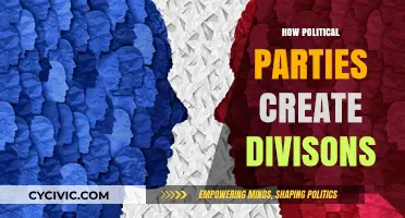 Divided We Fall: How Political Parties Fuel Societal Rifts