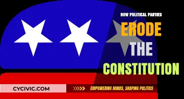 How Political Parties Undermine Constitutional Integrity and Democratic Values