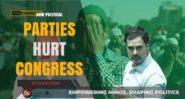 Divisive Politics: How Party Loyalty Undermines Congressional Effectiveness