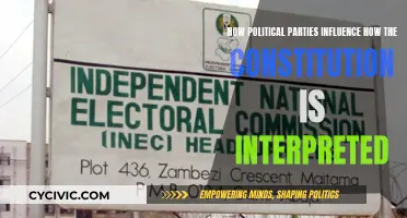 Politics' Influence on Constitutional Interpretation