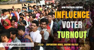 How Political Parties Shape Voter Turnout: Strategies and Impact