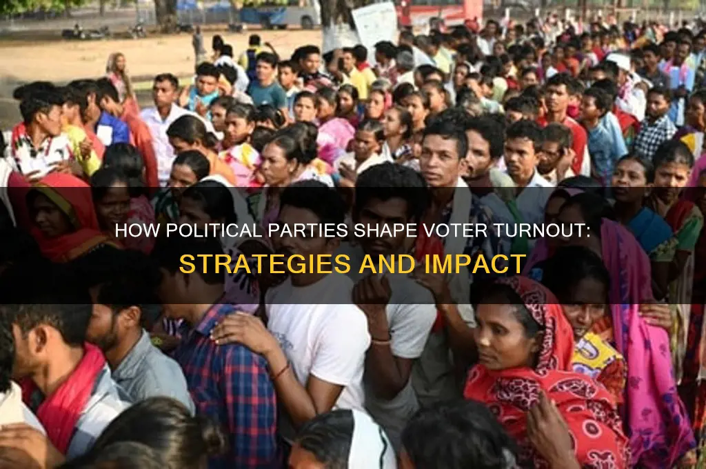 how political parties influence voter turnout