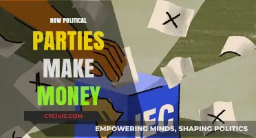 Funding Democracy: Unveiling Political Parties' Diverse Revenue Streams