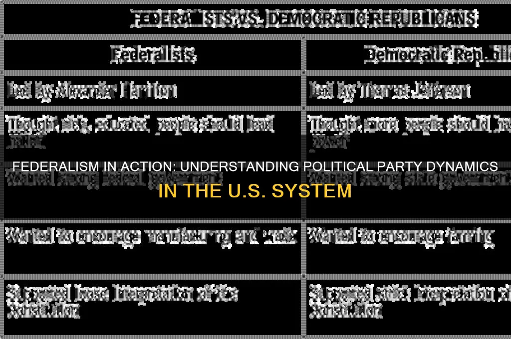 how political parties operate in the federalist system
