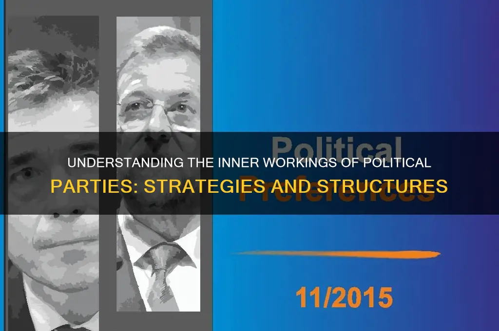 how political parties operate