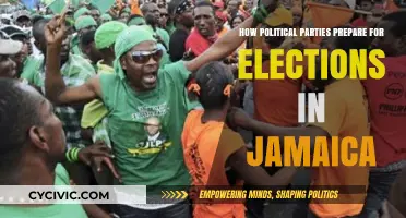 Jamaica's Election Strategies: How Political Parties Gear Up for Victory