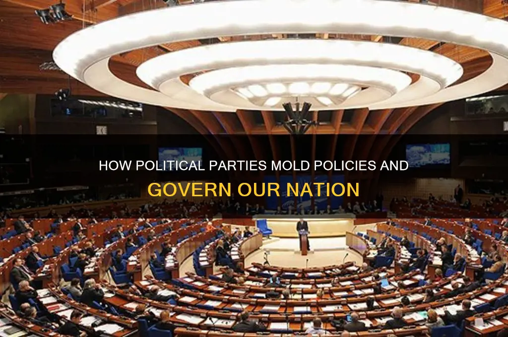 how political parties shape our government