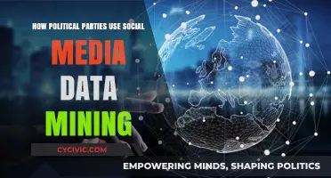 Social Media Data Mining: Political Parties' Digital Strategies Unveiled