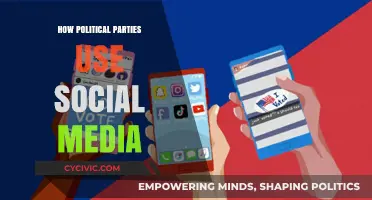 Social Media Strategies: How Political Parties Shape Public Opinion Online