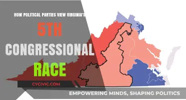 Virginia's 5th District: Political Parties' Perspectives on the Congressional Race