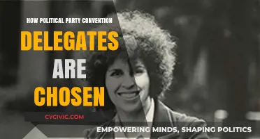 Understanding the Selection Process of Political Party Convention Delegates