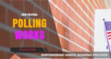 Understanding Political Polling: Methods, Accuracy, and Impact on Elections