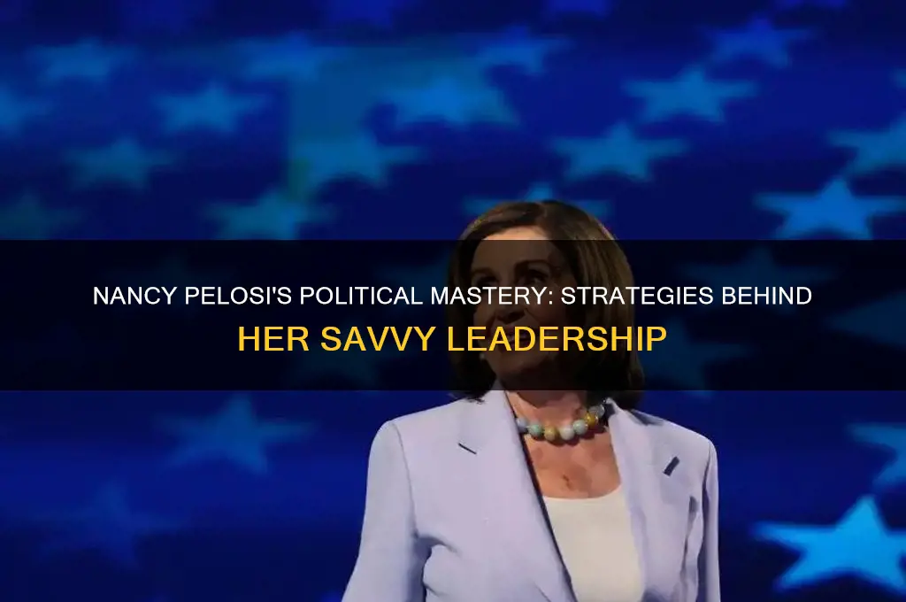 how political savvy nancy pelosi