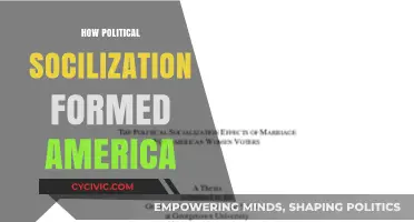 Shaping the Nation: The Impact of Political Socialization on America