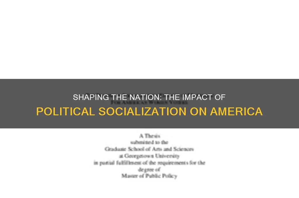 how political socilization formed america
