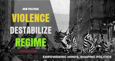 Political Violence: A Catalyst for Regime Destabilization and Collapse