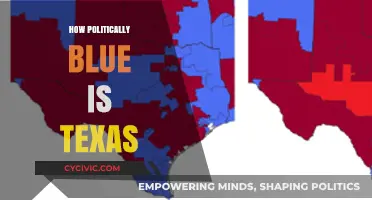 Is Texas Turning Blue? Analyzing the State's Political Shift